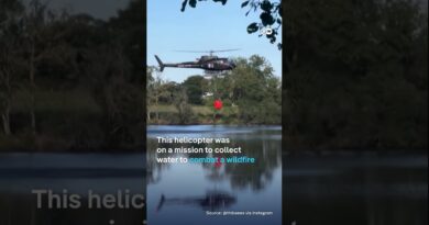 Helicopter in France crashes into water | DW News