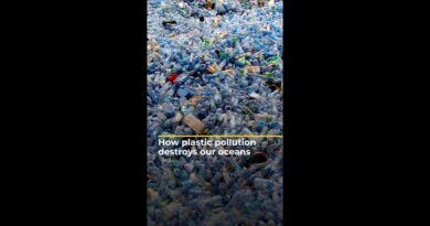 Here’s why the UN is negotiating a treaty to end plastic pollution | AJ #shorts