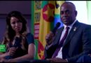 Highlights Special of the 4th AfriCaribbean Trade and Investment Forum