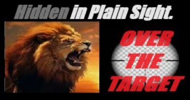 History Repeats. U.S.  On A Dangerous Path. Mannarino