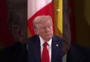 Hot mic moment caught between Trump and European leaders | DW News