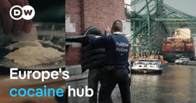 How Belgium became a hotspot for cocaine trafficking | Focus on Europe