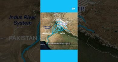 How China could enter a possible water war between India and Pakistan | DW News