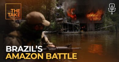 How did Lula da Silva cut Amazon deforestation in half? | The Take