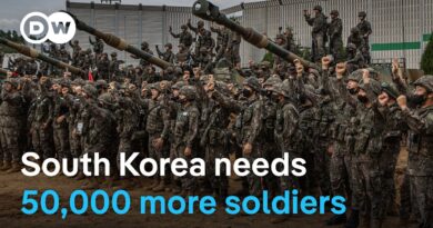 How does the worlds lowest fertility rate endanger Seoul’s defence readiness? | DW News