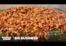 How Imported Shrimp Took Over America