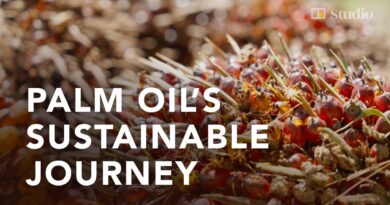 How Malaysian palm oil is produced to preserve health, quality and the planet