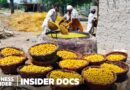 How Pakistan’s 20 Million Small Farms Survive Floods And Heat