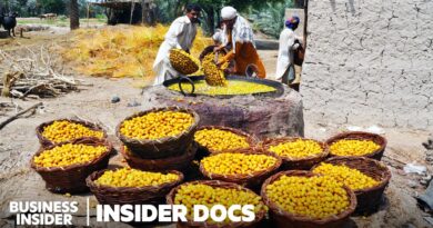 How Pakistan’s 20 Million Small Farms Survive Floods And Heat