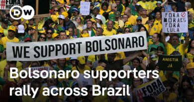 How Trump is deploying 50% tariff threats to sway probe into Bolsonaro’s alleged coup plot | DW News