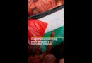 Huge Palestinian flag unveiled at Spain’s La Tomatina festival | AJ #shorts