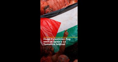 Huge Palestinian flag unveiled at Spain’s La Tomatina festival | AJ #shorts