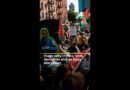 Huge rally in New York demands end to Gaza starvation