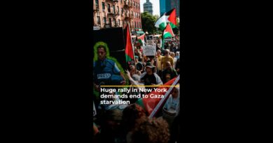 Huge rally in New York demands end to Gaza starvation