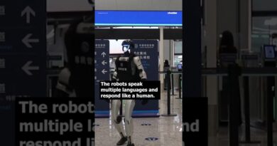 Humanoid robots are now working at airport border checkpoints