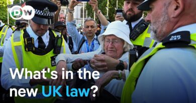 Hundreds arrested at pro-Palestinian rally in London over new law | DW News