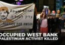 Hunger strike and protests over Israeli settler killing of Palestinian activist in West Bank