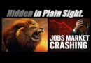 (HYPER-ALERT!) US JOB MARKET COLLAPSE. US INDUSTRY DYING. COST OF LIVING SKYROCKETING. Mannarino