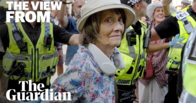 ‘I’m retired, and I’m not scared’: hundreds arrested at Palestine Action protest