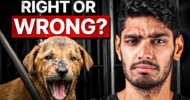 India’s Deadly Stray Dogs