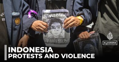 Indonesia anti-government protests: Tension soars after delivery rider killed by police
