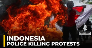 Indonesia anti-govt protests: Anger grows after ride-share driver killed by police