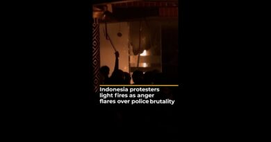Indonesia protesters light fires as anger flares against police and gov’t | AJ #shorts