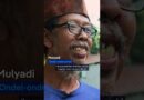 Indonesia: Puppet ban in Jakarta threatens buskers | DW News
