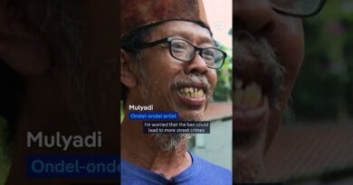 Indonesia: Puppet ban in Jakarta threatens buskers | DW News