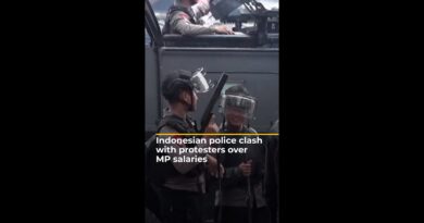Indonesian police clash with students over MP salaries | AJ #shorts