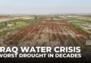 Iraq’s worst drought in decades leaves orchards barren and livelihoods ruined