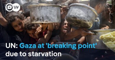 Is Israel weaponizing humanitarian aid in Gaza? | DW News