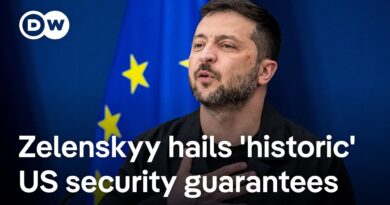 Is NATO membership really the only credible security guarantee for Ukraine? | DW News
