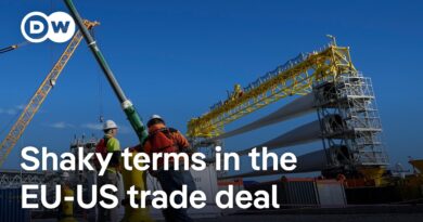Is the EU’s commitment to invest in US energy enforceable – or an empty promise? | DW News