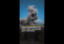Israel bombs Gaza City as military prepares for full takeover | AJ #shorts