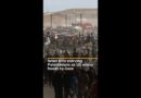Israel kills more starving Palestinians as US envoy heads to Gaza | AJ #shorts