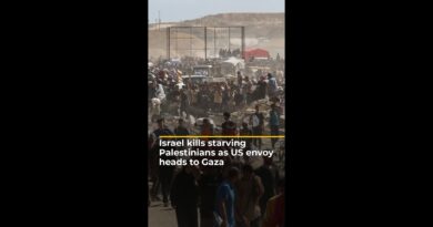 Israel kills more starving Palestinians as US envoy heads to Gaza | AJ #shorts