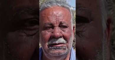 Israeli army uproot hundreds of olive trees in West Bank | DW News