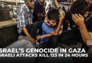 Israeli Gaza attacks kill 123 in 24 hours as three children die of hunger