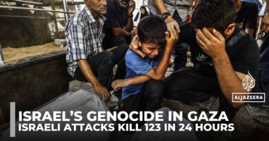 Israeli Gaza attacks kill 123 in 24 hours as three children die of hunger
