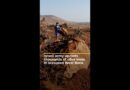 Israeli military uproots thousands of Palestinian olive trees in West Bank | AJ #shorts