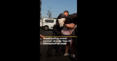 Israeli police arrest woman during ‘Day of Disruption’ protest | AJ #shorts