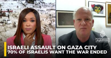 Israeli public unsupportive of government plans to seize Gaza City, says ex-Israeli diplomat