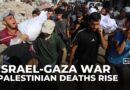 Israeli strike kills Palestinian Red Crescent worker in Gaza as starvation deaths rise