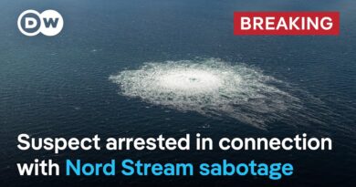 Italy arrests Ukrainian over Nord Stream sabotage | DW News