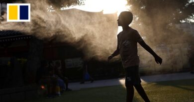 Japan and Vietnam swelter in record-breaking heat