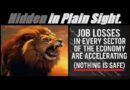 JOB LOSSES IN EVERY SECTOR OF THE ECONOMY ARE ACCELERATING. MORE COMING. NOTHING IS SAFE. Mannarino