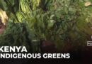Kenya promotes indigenous greens as healthier food option, replacing colonial veggies