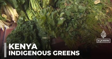 Kenya promotes indigenous greens as healthier food option, replacing colonial veggies