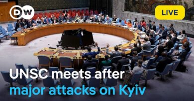 Live: UN Security Council meets after major attacks on Kyiv | DW News